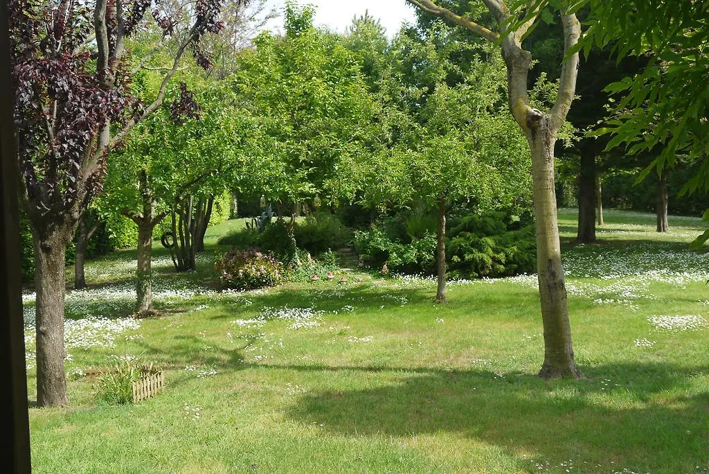 Cara Pace Apartment Rimini